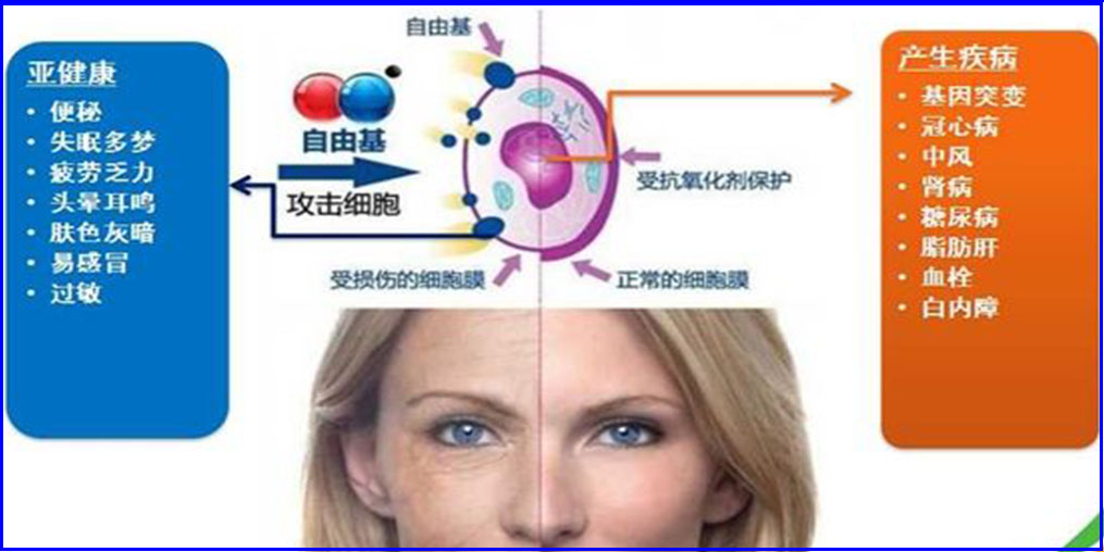自由基是“百病之源”？硒元素可清除自由基