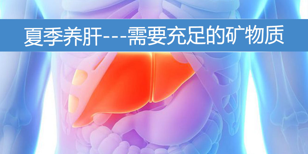 夏季養(yǎng)肝需要充足的礦物質(zhì)，保護(hù)肝功能