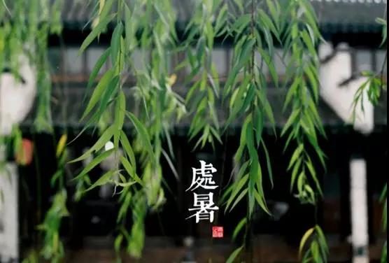 處暑養(yǎng)生小常識(shí)，謹(jǐn)記滋陰潤肺防秋燥