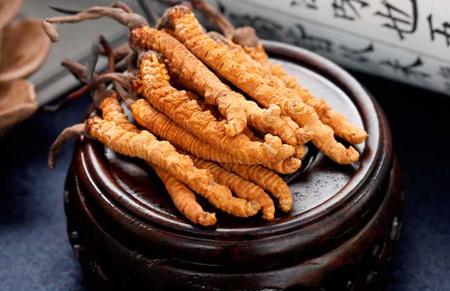 冬蟲夏草的營(yíng)養(yǎng)成分有哪些？好在哪里