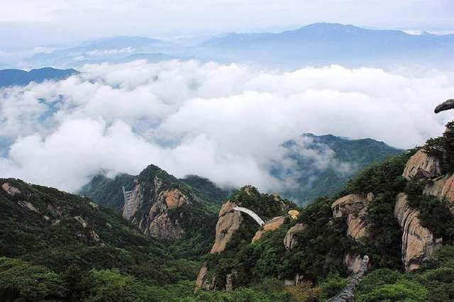 大別山的靈芝孢子粉為什么好？