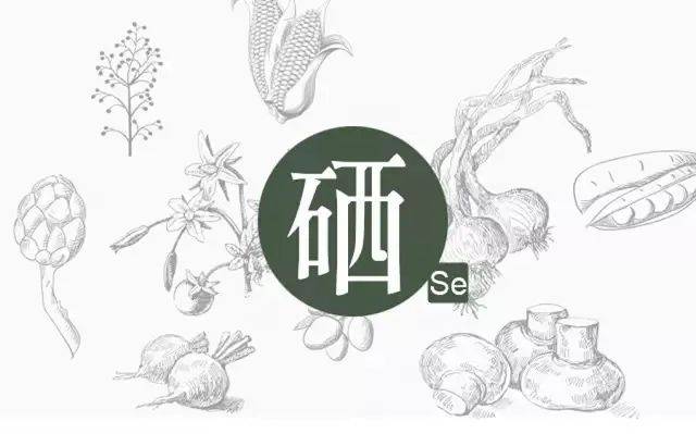 全面了解硒：硒有什么物理性質？
